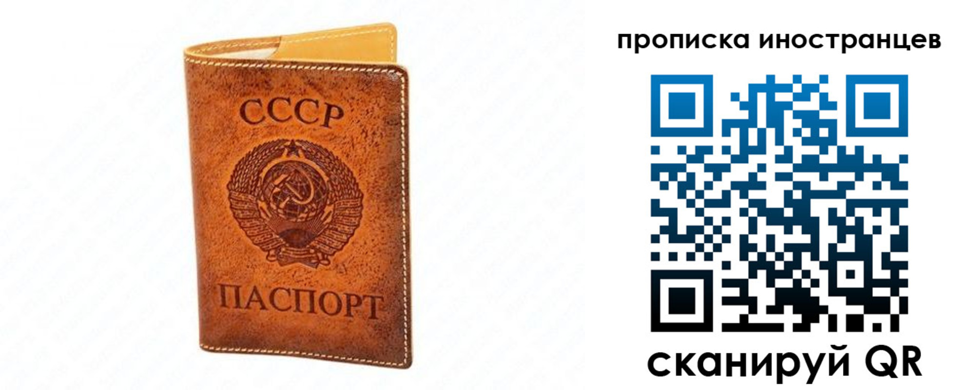 прописка для школы в Калачинске